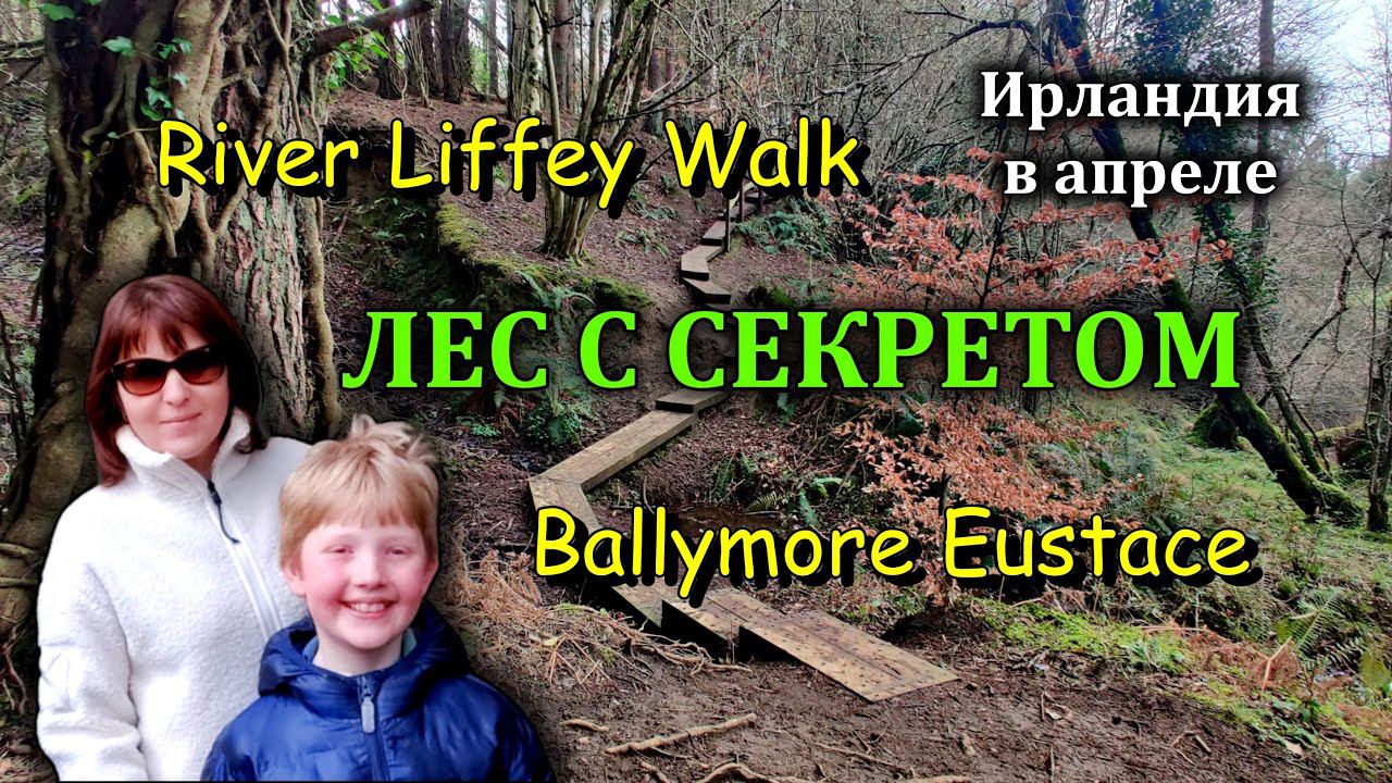 Ирландия / Лес и его тайна / Гидроэлектростанция/ River Walk, Ballymore Eustace