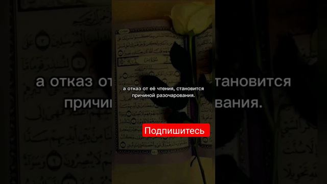 Что сказал пророк Мухаммед про суры Аль Бакара и Аль Имран #дуа #сура #альбакара #хадис #сунна