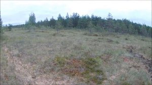 оз. Чёрное .Поход. Рыбалка .Морошка 2018.