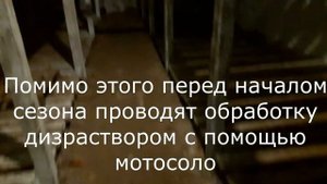 Бюджетное овощехранилище. Cheap vegetable store.