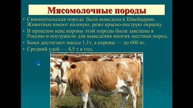 20 05 2020 7 класс  биология