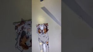 ТУТОР по собакам! :3💕💗 и да скоро мне прицдёт бумажная посылка для бумажных собак!💗💕 [ #бумажныесоб
