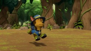 Psi Patrol | 30 minut najlepszych misji Psiego Patrolu | Nick Jr.