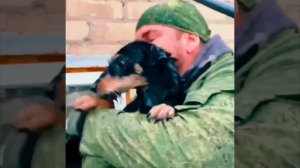 Собаку бросили в доме, который затопило при наводнении в Оренбурге. Но нашлись те, кто спас беднягу