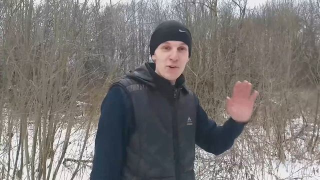 НЕЗАКОННАЯ вырубка леса-НАКАЗАНИЕ? смотреть онлайн