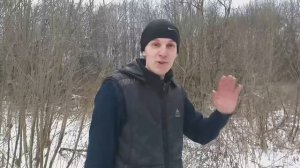 НЕЗАКОННАЯ вырубка леса-НАКАЗАНИЕ?