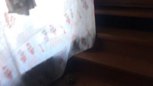 Дом в Костерево