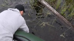 Рыбалка в Северной Карелии