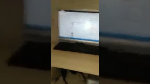 Колонки труба войта TQWP. смотреть онлайн