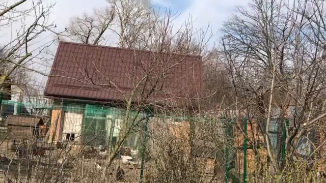 Как устроить курей на даче. Выгодно, полезно, актуально