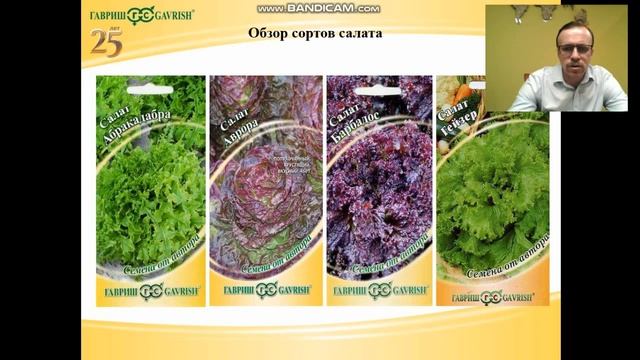 Зеленые культуры