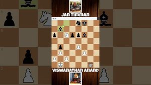 Виши Ананд блестящая жертва ладьи: ход, который потряс шахматный мир