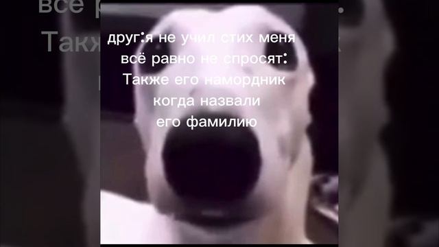 друг самоуверенный
