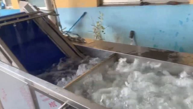 Барботажная ванна для мойки овощей и фруктов с нежной кожурой | Vega BW 3400