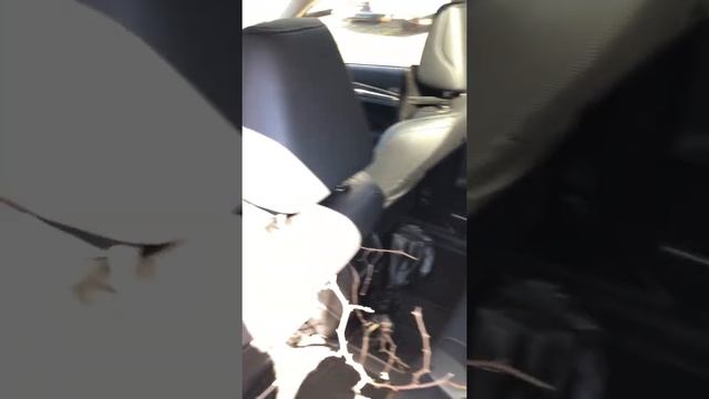 Haval F7 честно о главном! смотреть онлайн