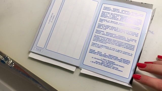 DIY декор обложки на ветпаспорт??? смотреть онлайн