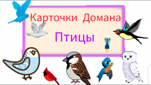 Карточки Домана. Птицы. 39 видов птиц. Раннее развитие.