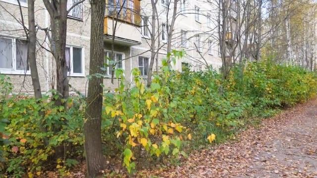 Осень - Золотой листопад – Сказочная природа