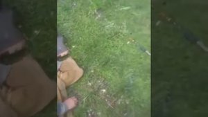 Будешь чай)