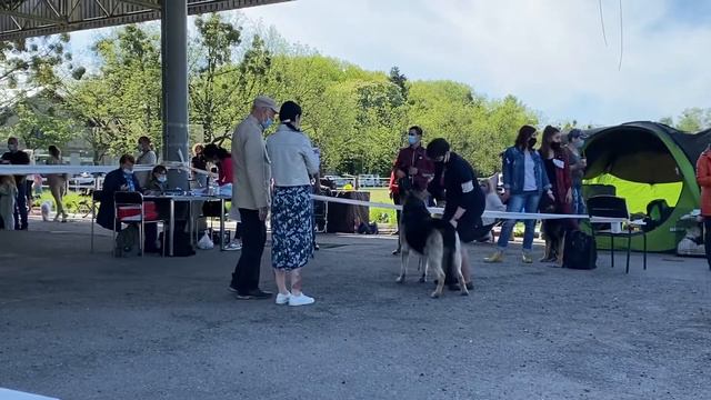 Киев-Подол 22.05.2021 кобель чемпион смотреть онлайн