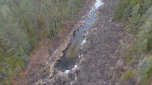 Бортжурнал экспедиции к Тунгусскому метеориту-2019 . Часть 5. Мы дошли до эпицентра!