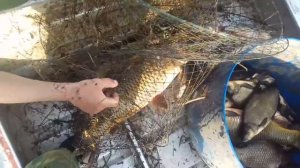 Промысловая рыбалка на Волге весной(вентерями)