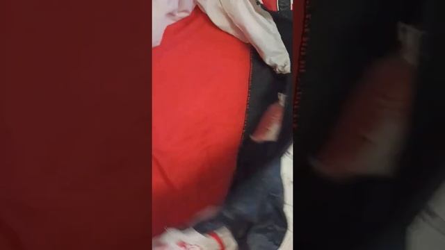 Для Авито. Ветровка Toyota. смотреть онлайн