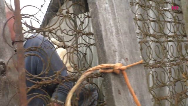 Шашлык в деревне в день рождения ! смотреть онлайн