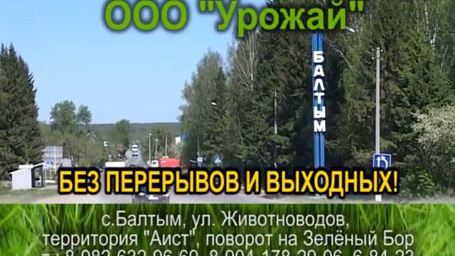 Тепличное хозяйство - Урожай смотреть онлайн
