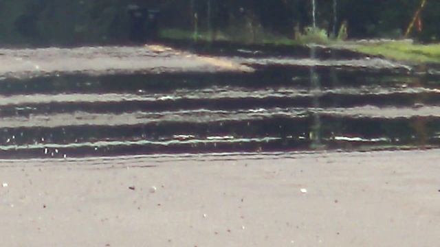 Studying angular resolution смотреть онлайн