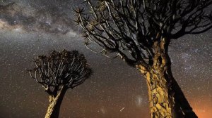 Как выглядит пустыня ночью .