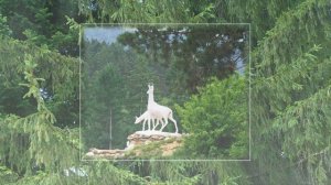 Город-курорт Белокуриха Алтайский край Путешествия