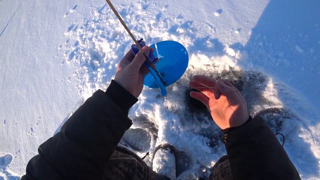 Окунь сходит с ума! Страшный клёв окуня на мормышку