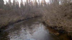 Водомет Карась - управляемость на спуске