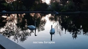 Притча-Забота о Сыне, Не Обижайте Матерей, Мама Простит Все, а Сможешь ли Ты Простить Себя.