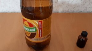 Как избавиться от колорадского жука на картошке навсегда