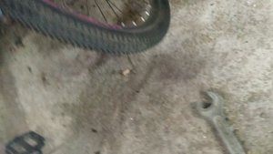 VID_20240628_195602.mp4