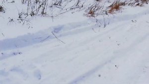 Обзор Daihatsu Move 2014г Без пробега по РФ. И дедовская Toppo