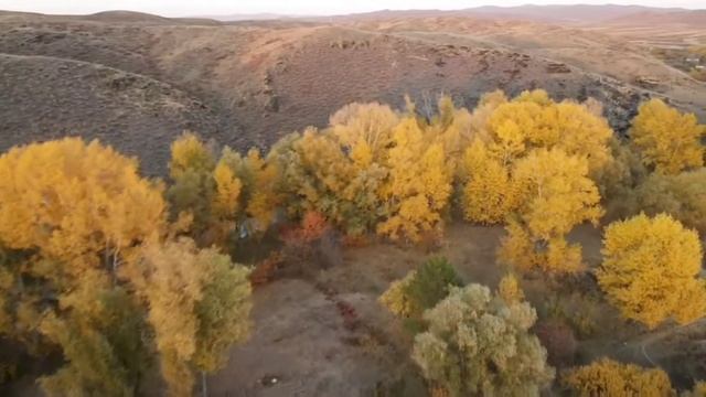 zolotaya osen'.Ust'-Kamenogorsk.Усть-Каменогорск.золотая осень. смотреть онлайн