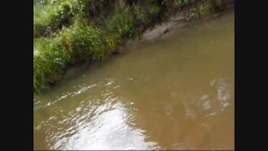 Ловля хариуса и форели на резиновые приманки.