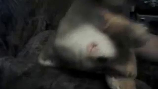 Сказка на ночь:D прикол смотреть онлайн