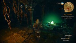 Секрет Лето из Гулеты - ведьмака из Школы Змеи | Evoice Erebus