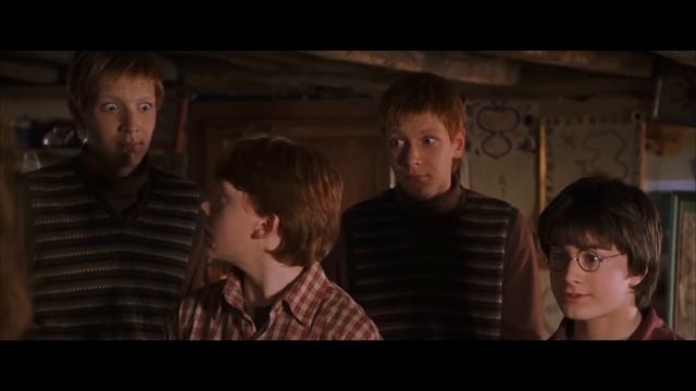 Гарри Поттер в Консерватории ЧАСТЬ 2 [Озвучка от Stradivaly]