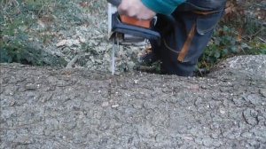 Chainsaw  Stihl 291 / Motorová pila Stihl 291