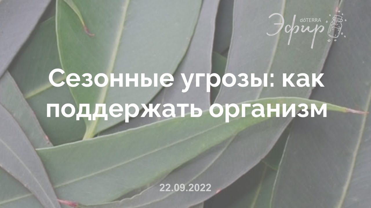 Эфир doTERRA, 22 Сентября 2022: «СЕЗОННЫЕ УГРОЗЫ: КАК ПОДДЕРЖАТЬ ОРГАНИЗМ»