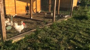 Пару слов о вежливости , а также что творится с ценами