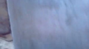 Автономное отопление своими руками