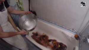 Горячий Цех - Как приготовить Винегрет