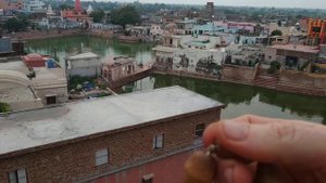 Воспевание Махамантры на четках с объяснения Прабхупад Шрила Прем Гопал Госвами