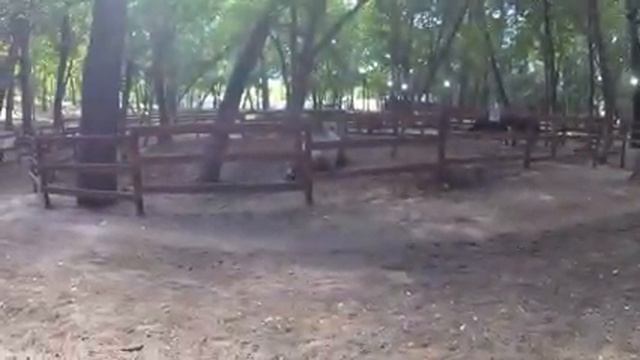 В Загородном парке Самары смотреть онлайн